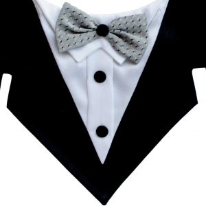 Bandana para perro y gato/ bandana elegante para eventos/bandana para bodas