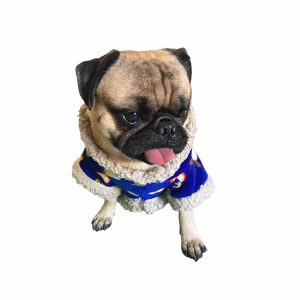 Abrigo tela de borreguito para perro y gato/ Peche-abrigo para frió para mascotas