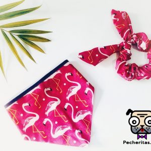 Bandana para perro y gato + Scrunchies para cabello de mamá