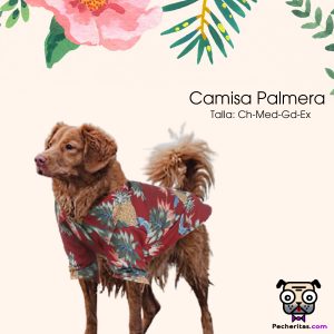 Camisa de temporada para mascotas/ camisa para perro y gato de algodón suave y transpirable
