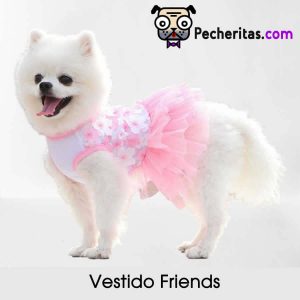 Vestido Friends para perro y gato, vestido para mascota,  vestido ideal para celebración