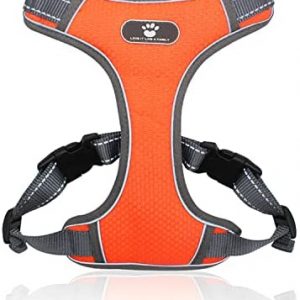 Pechera para perro/ arnés para mascotas en forma de chaleco