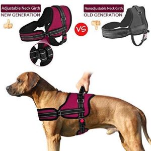 Pechera Arnés de Perro, Suave Malla Acolchada para Perros con Hebilla de Bloqueo Anti-tirones Chaleco Adiestramiento