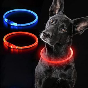 Collar de perro LED iluminación, recargable USB corte ajustable a tamaño ultra brillante collar de luz resplandeciente