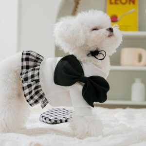 Vestido París para perro y gato/Ropa para mascota/ ropa de temporada para mascotas