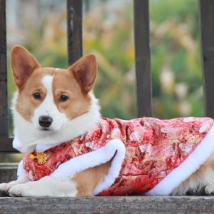 Vestido wángzǐ para perro/ ropa para mascotas/ suéter para perro y gato de temporada