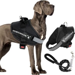 Pechera Arnés para Mascotas con Correa Reflectante 4 tamaños