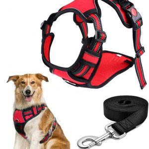 Pechera Arnés para Perro con Correa Ajustable, para Perros Medianos y Grandes,