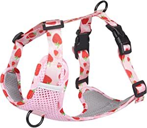 Pechera para Perro,Arnés para Perro Ajustable Arneses para Perro Sin Tirones Transpirable para Caminar Viajar Entrenar Perros