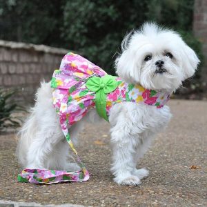 Vestido Coqueta para perro y gato/Ropa para mascota/ vestido de temporada primavera