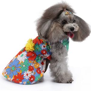 Mascota Falda Conejito Decoración Falda Amarilla Camisa Hawaii Pequeño Perro Vestido Mascota Perro Primavera Cosplay Primavera