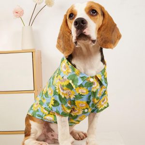 Camisa Gira-chol para mascota/ camisa de temporada para perro y gato