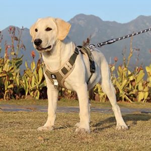 Pechera para perro ajustable, Arnés para Caminar Viajar Entrenar Perro