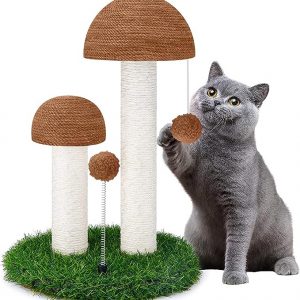 Rascador para gato, juguete Interactivo para gato