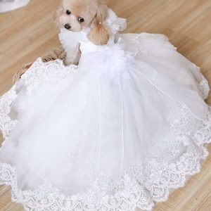 Vestido novia para mascotas, Vestido elegante para perro y gato/Colección boda